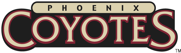 Phoenix Coyotes 2003-2008 Wordmark Logo iron on transfers for T-shirts